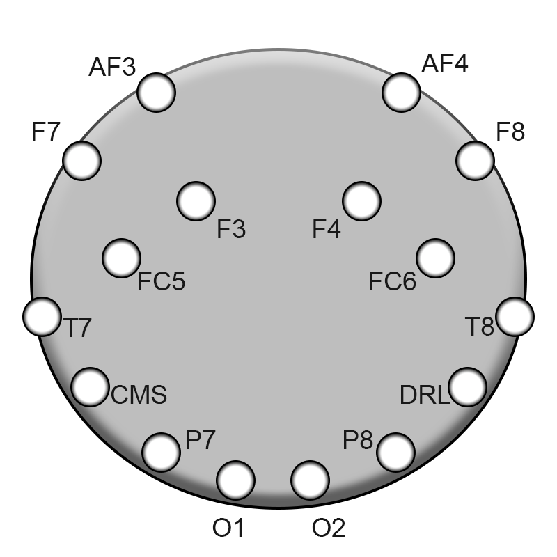 Brainstorm Sensor Positions